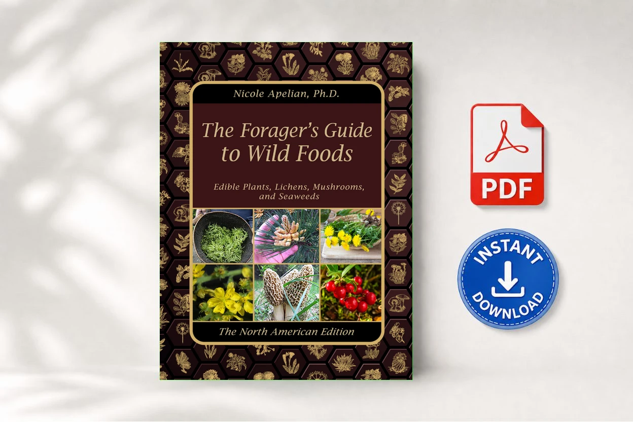 The Foragers Guide to Wild Foods